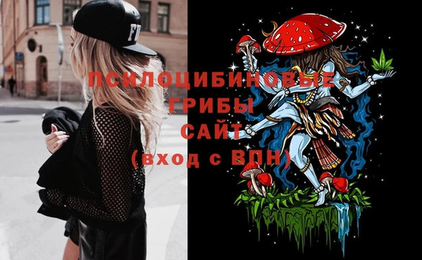 a pvp Лиски