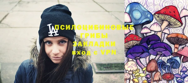 ешки Медногорск