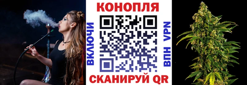 купить  цена  Каргополь  Бошки Шишки сатива 